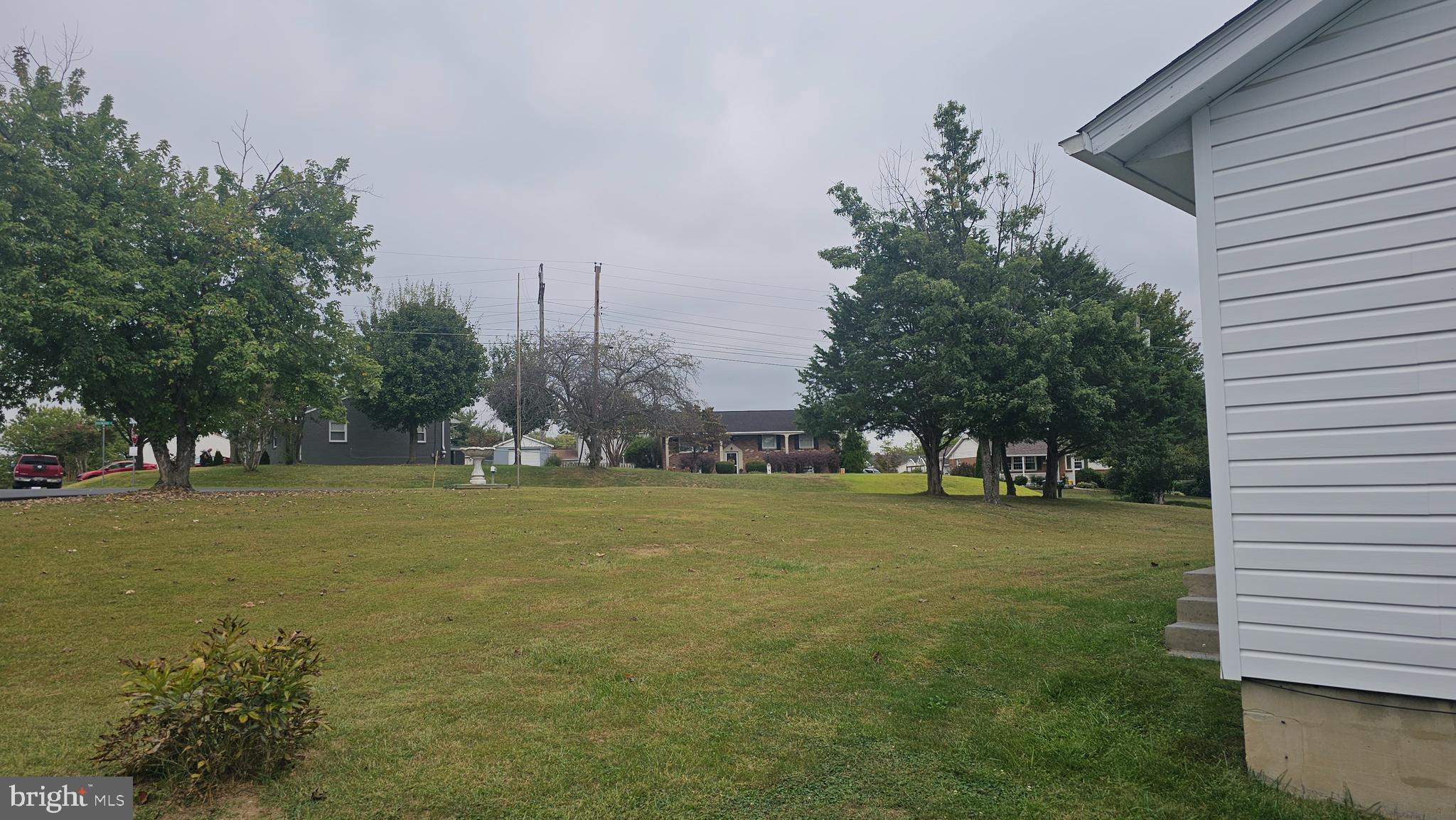331 Dogwood Road Winchester, VA 22602 - Photo 3 of 16 a view of a trees in a yard