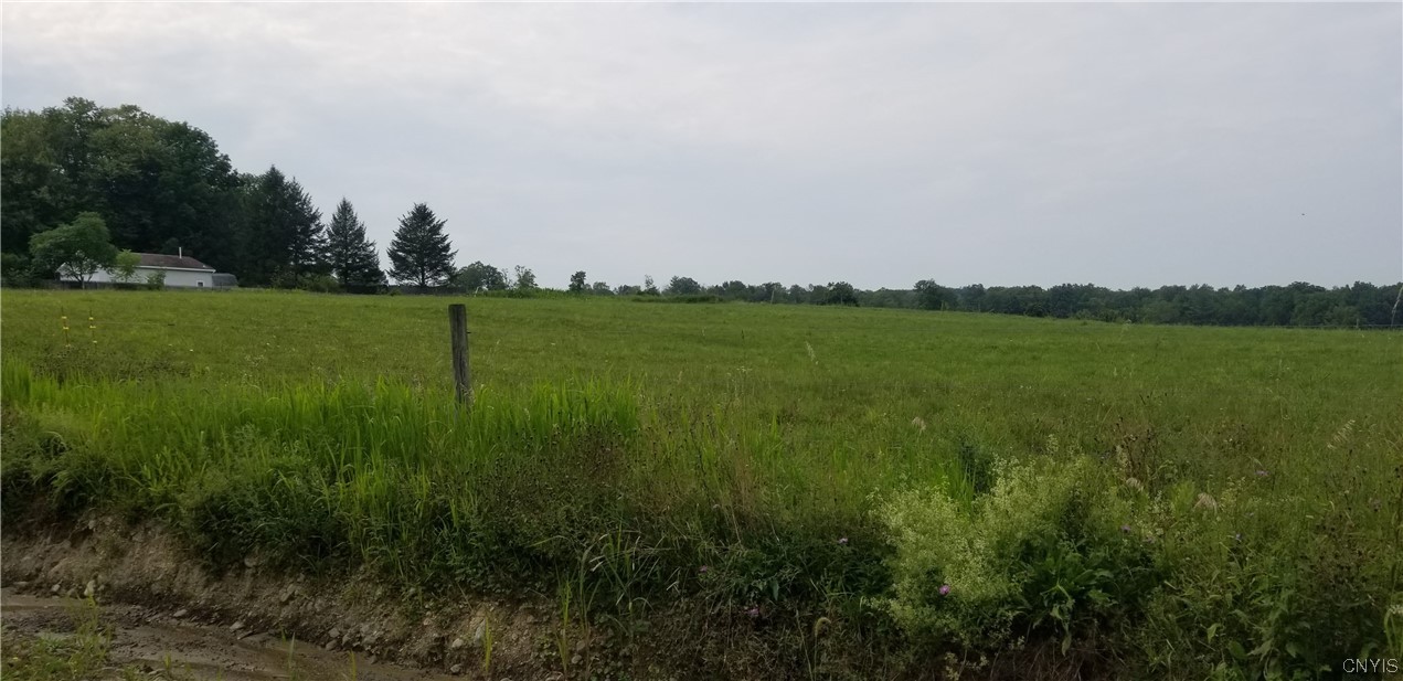 0 Fish Road Trumansburg, NY 14886 - Photo 2 of 8