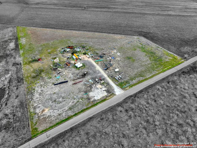 a view of a garden from a window