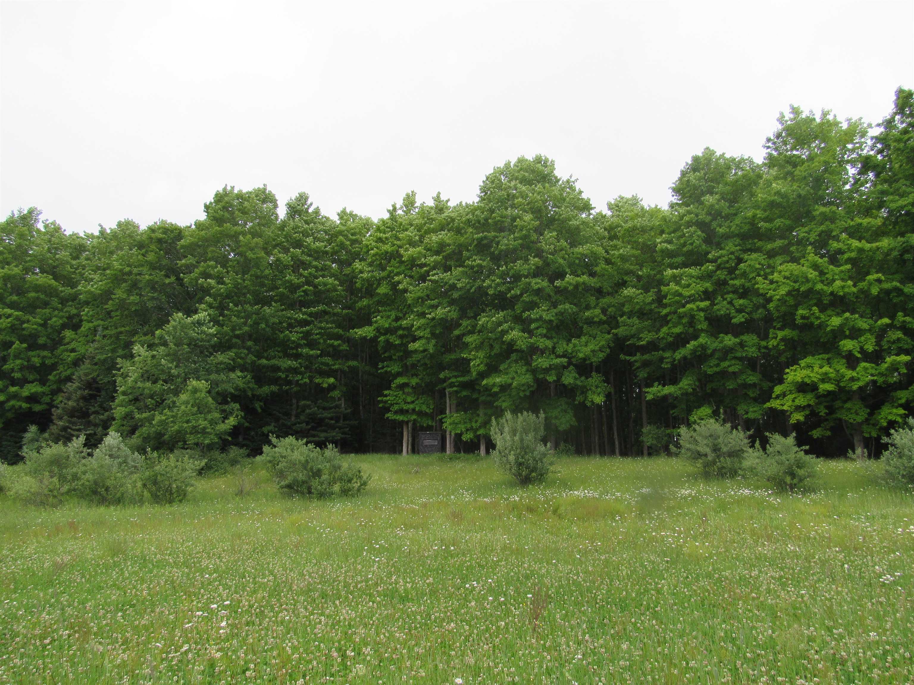 0 North Poor Farm Road Harrisville, MI 48740 - Photo 14 of 20