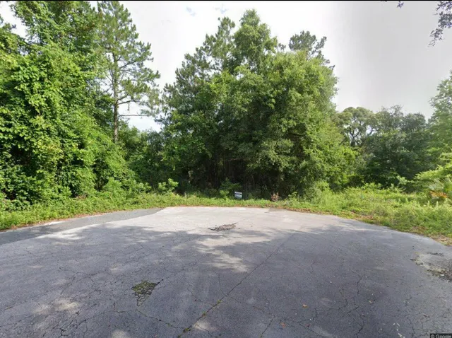 a view of a yard with a tree