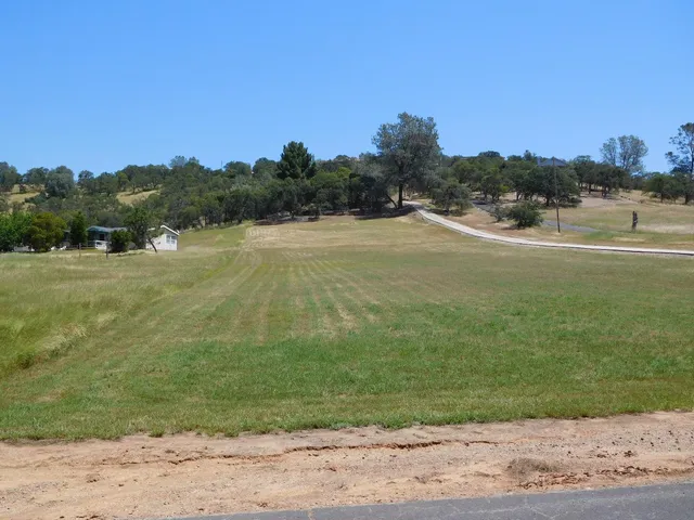 a view of a field with an ocean view
