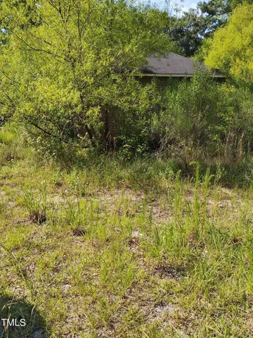 a view of a wooden floor and some trees in the background
