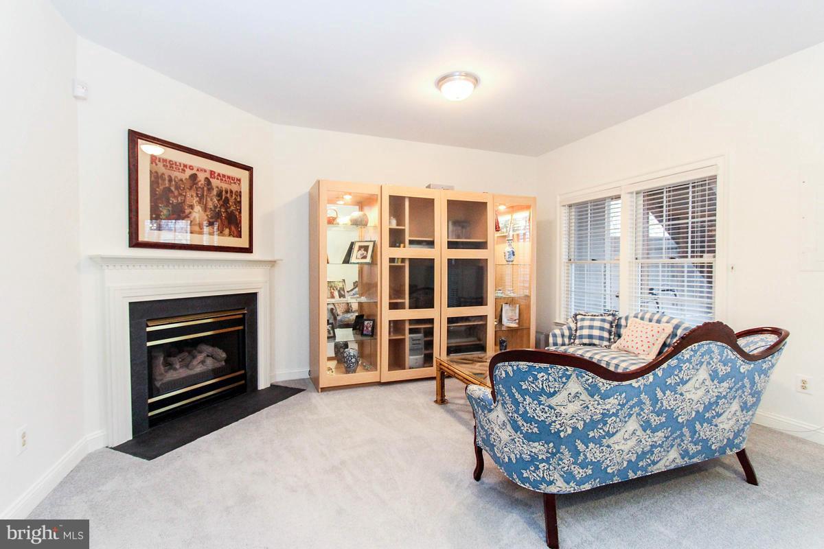 1364 Sundial Drive Reston, VA 20194 - Photo 4 of 30 Basement