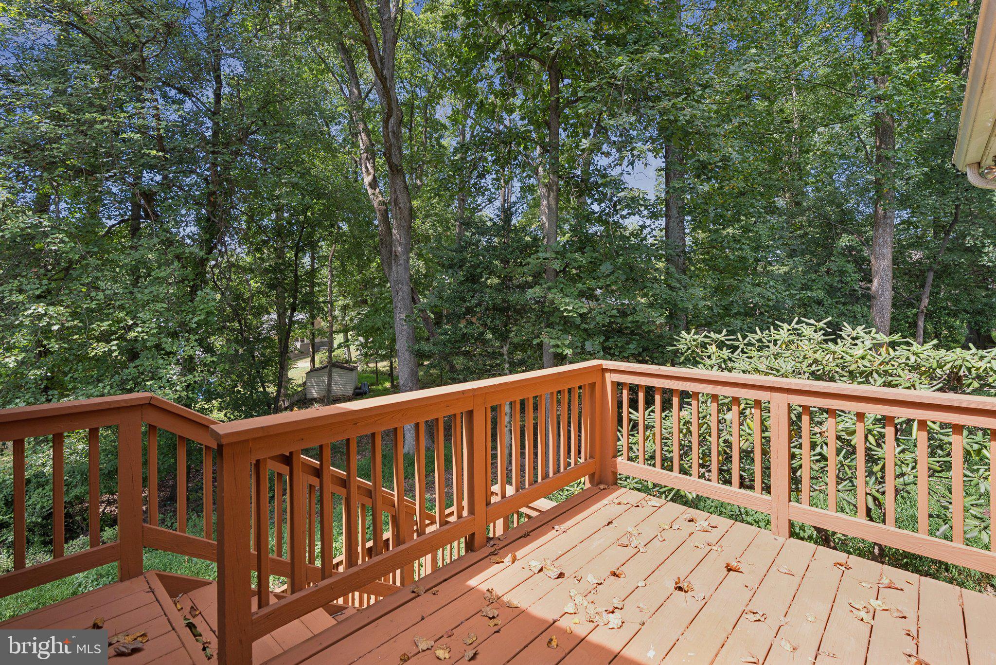 111 Marine Terrace Silver Spring, MD 20905 - Photo 19 of 40 Deck