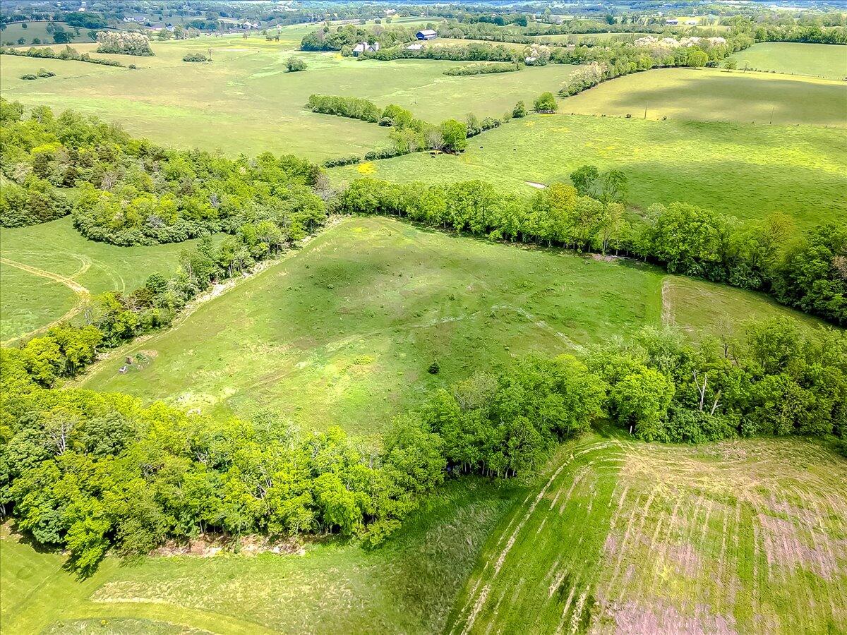 915 Kidds Mill Road Versailles, KY 40383 - Photo 75 of 79 75-6-11