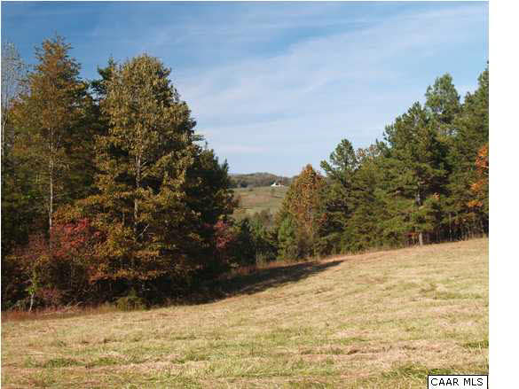 Church Street Reva, VA 22735 - Photo 7 of 17 Gallery Image 7