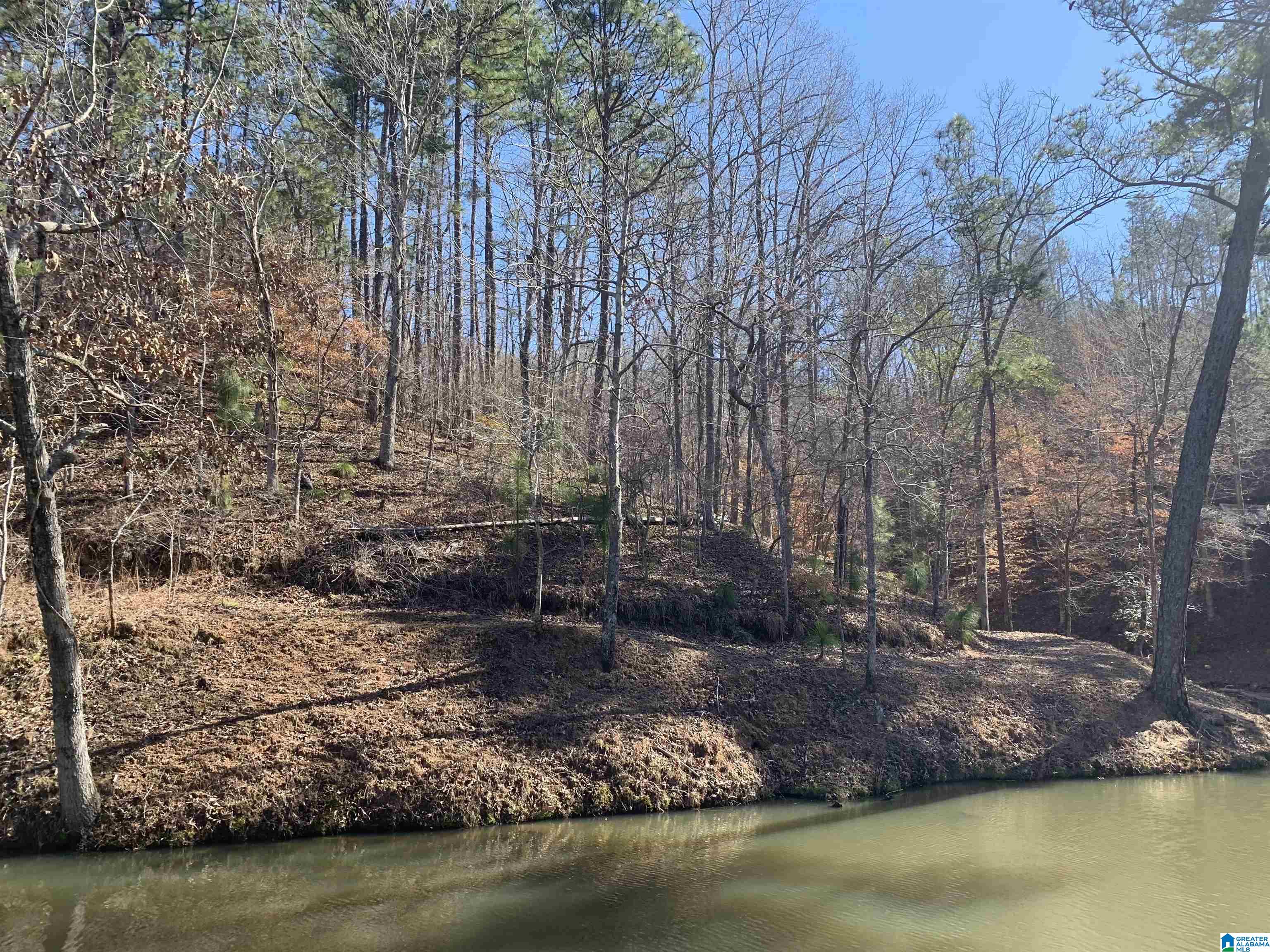 14 Highland Road, Unit LOT 14 AND 15 Goodwater, AL 35072 - Photo 7 of 7