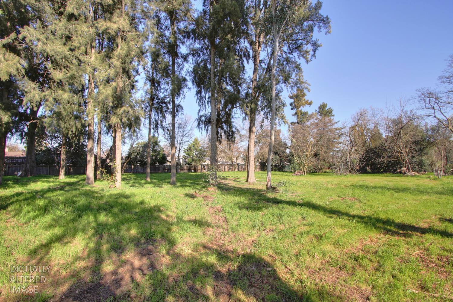1136 Los Robles Street Davis, CA 95618 - Photo 8 of 11 a backyard of a house with lots of green space