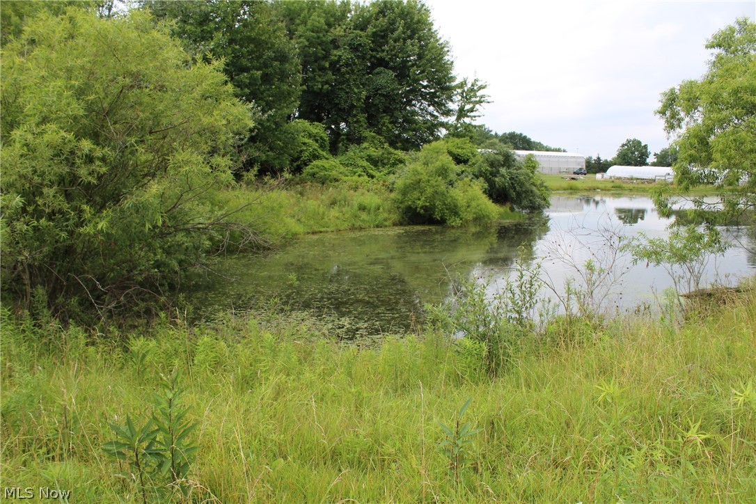 4490 Beach Road Medina, OH 44256 - Photo 5 of 35 Section of pond that resides on this property. Pond is shared by 3 properties.