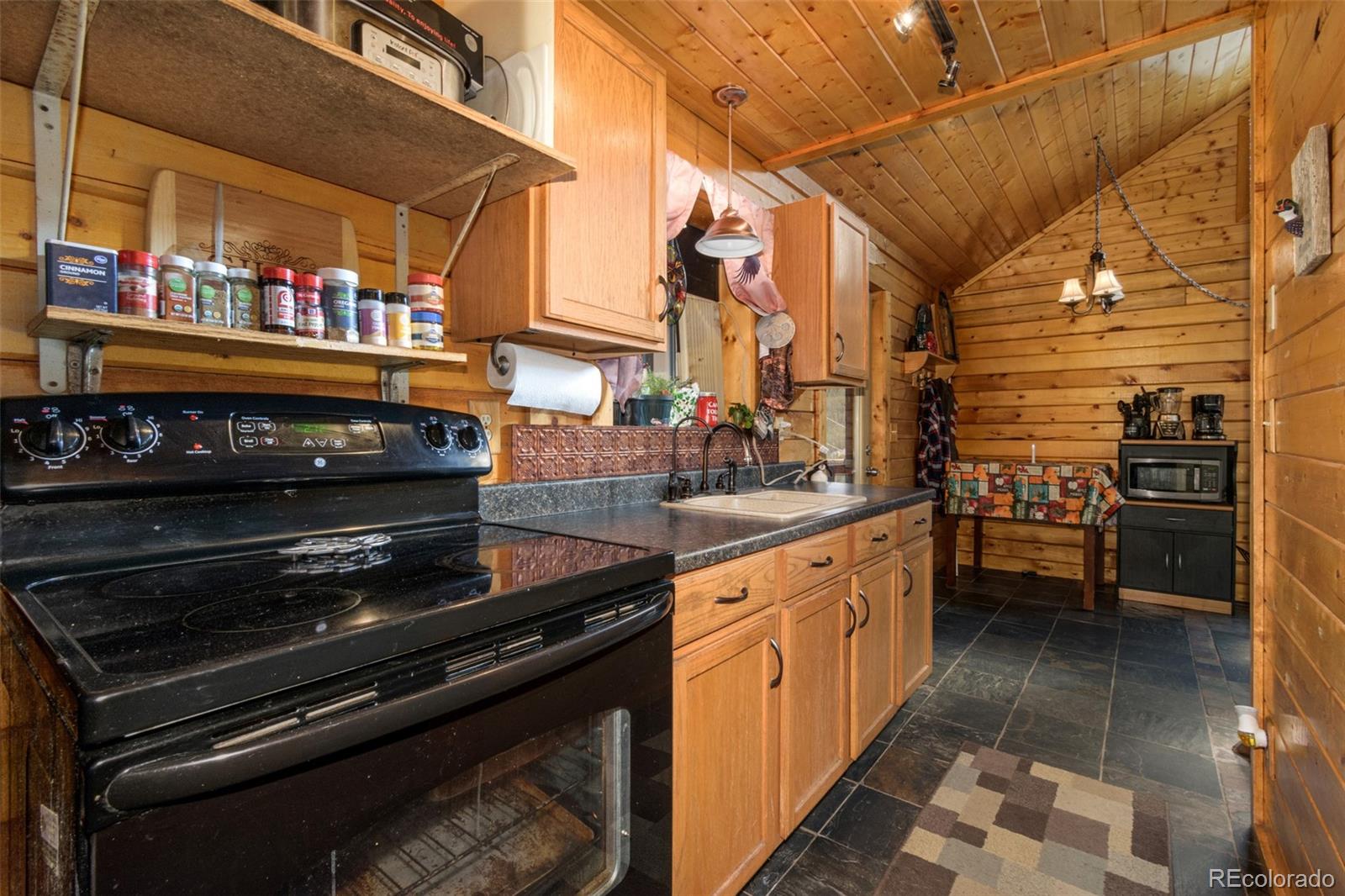 175 Gross Road Bailey, CO 80421 - Photo 4 of 35