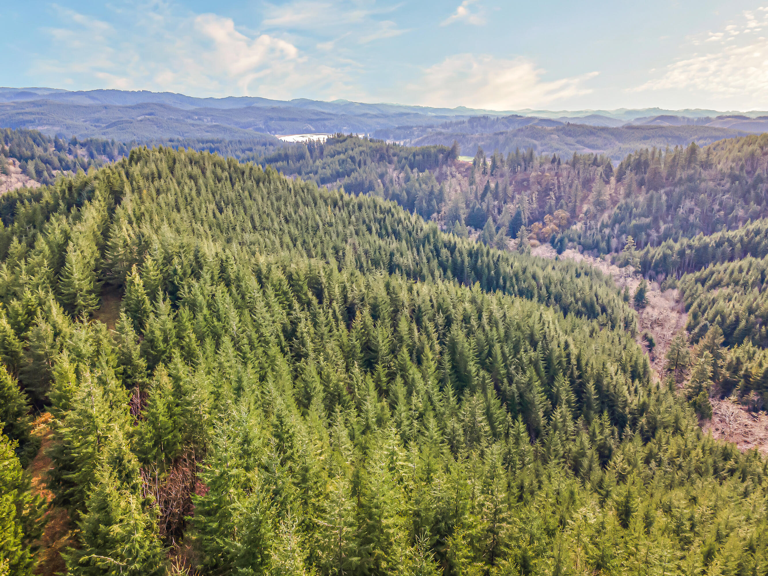 0 Criteser Loop Toledo, OR 97391 - Photo 5 of 31 DJI_0607