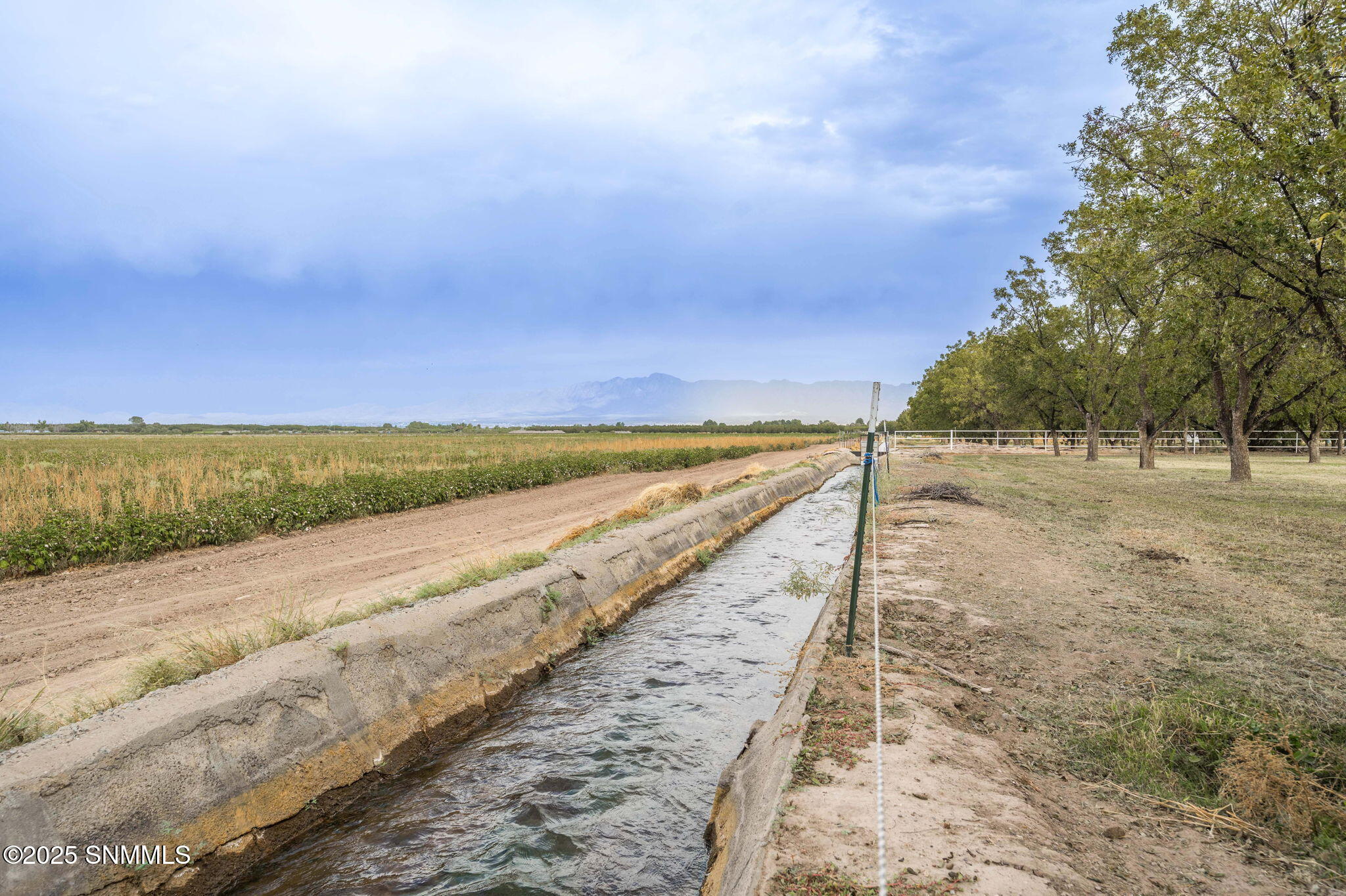 7003 McNutt Road Anthony, NM 88021 - Photo 74 of 89 134-web-or-mls-McNutt 7003-134