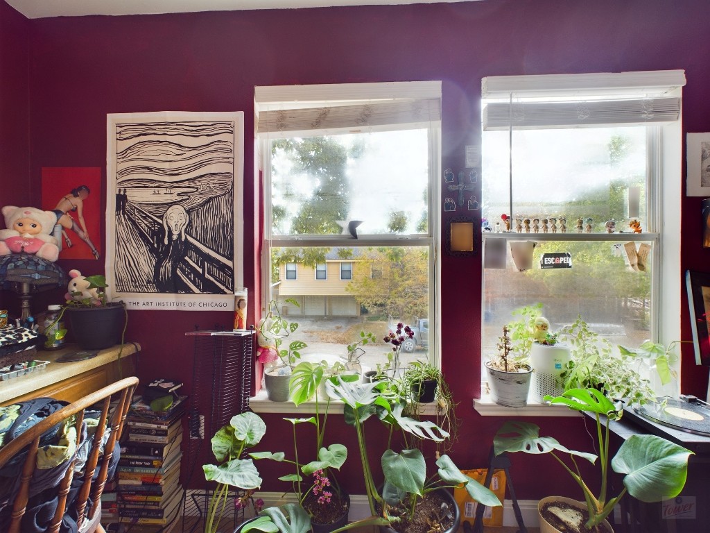 500 East 48th Street, Unit B Austin, TX 78751 - Photo 25 of 32 a flower pot on a table next to a window