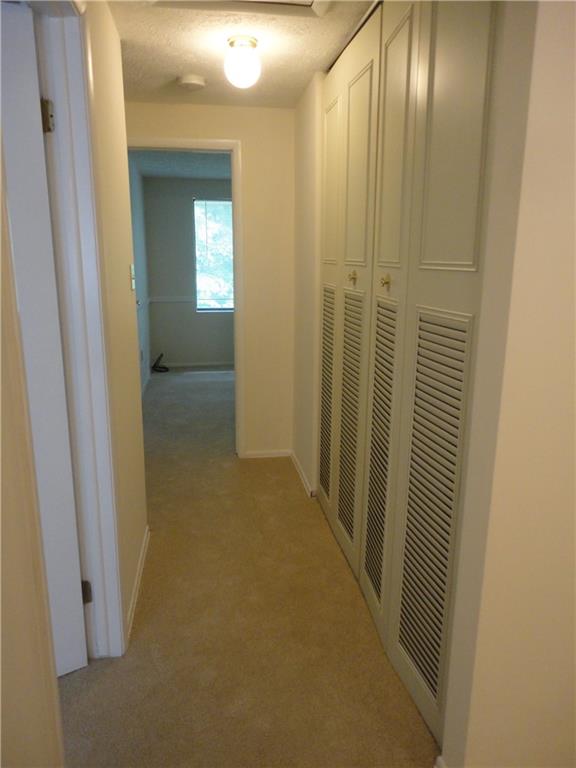 509 Hunters Path Road Bridgeville, PA 15017 - Photo 7 of 15 Gallery Image 7