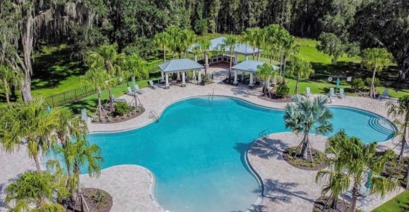10802 Rolling Moss Road Tampa, FL 33647 - Photo 21 of 26