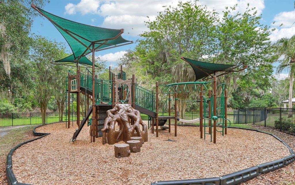 10802 Rolling Moss Road Tampa, FL 33647 - Photo 25 of 26