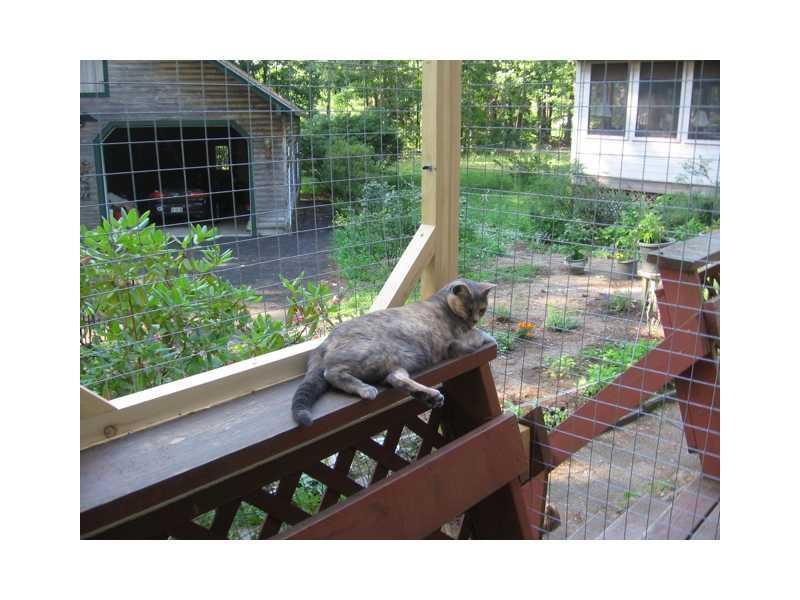 67 Line Road Gorham, ME 04038 - Photo 35 of 35 Other. Interior of cat enclosure on...