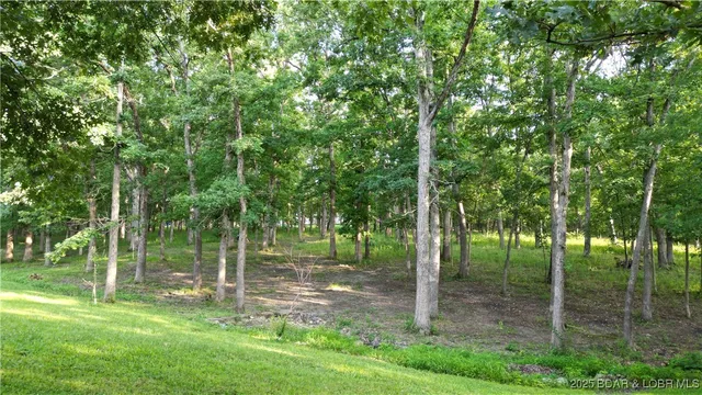 $254,000 | 15541 B Highway, Cole Camp, MO 65325