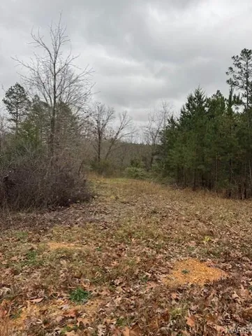 $59,900 | 9290 Splitlimb Road, Raymondville, MO 65555