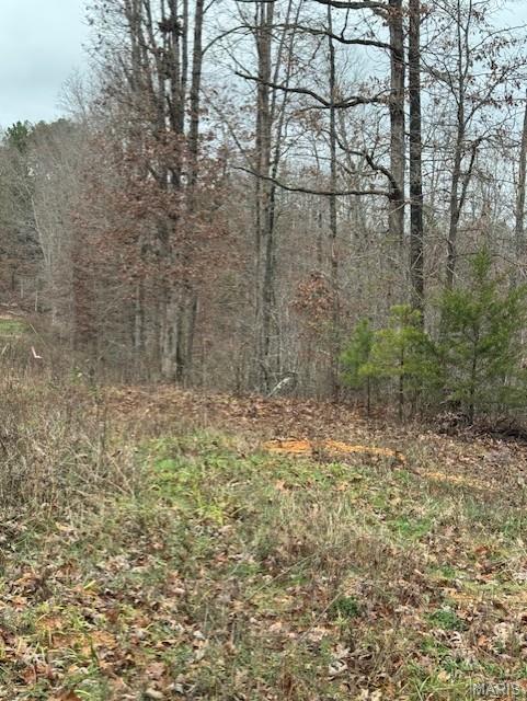 9290 Splitlimb Road Raymondville, MO 65555 - Photo 2 of 3