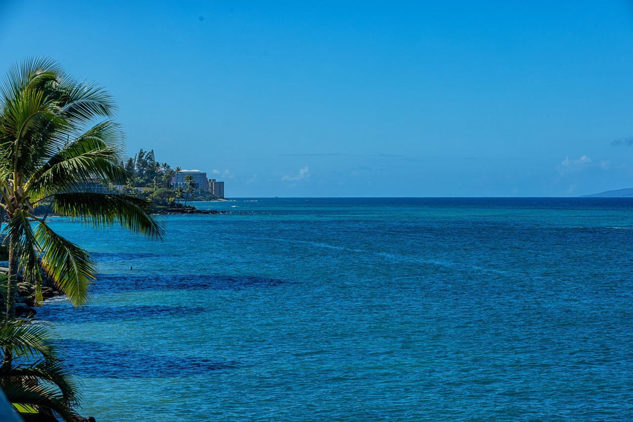4435 Lower Honoapiilani Road, Unit 301 Lahaina, HI 96761 - Photo 17 of 49 Gallery Image 17