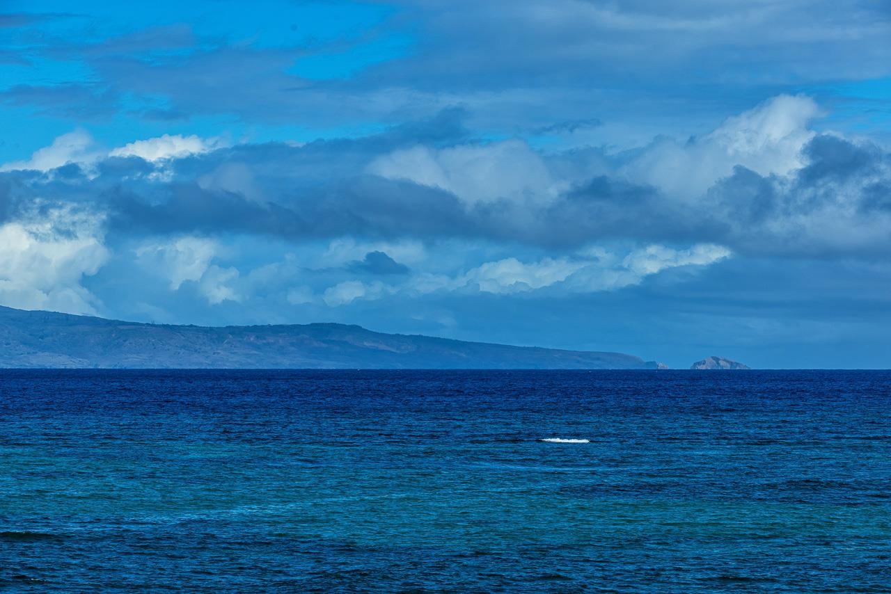 4435 Lower Honoapiilani Road, Unit 301 Lahaina, HI 96761 - Photo 18 of 49 Gallery Image 18