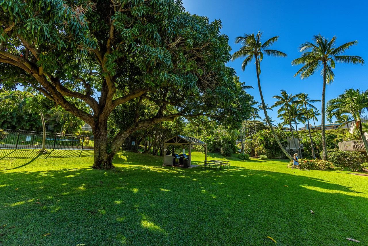 4435 Lower Honoapiilani Road, Unit 301 Lahaina, HI 96761 - Photo 30 of 49 Gallery Image 30