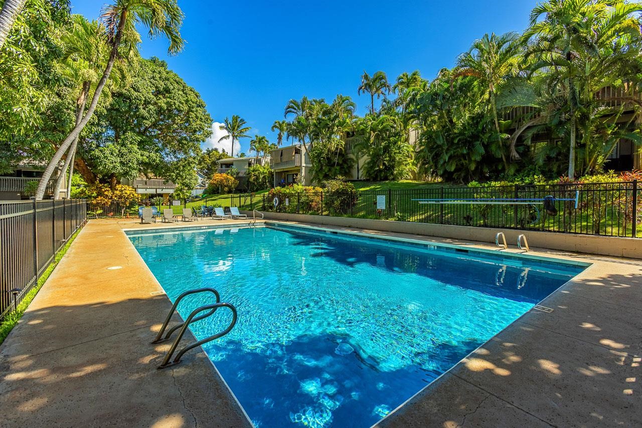4435 Lower Honoapiilani Road, Unit 301 Lahaina, HI 96761 - Photo 31 of 49 Gallery Image 31