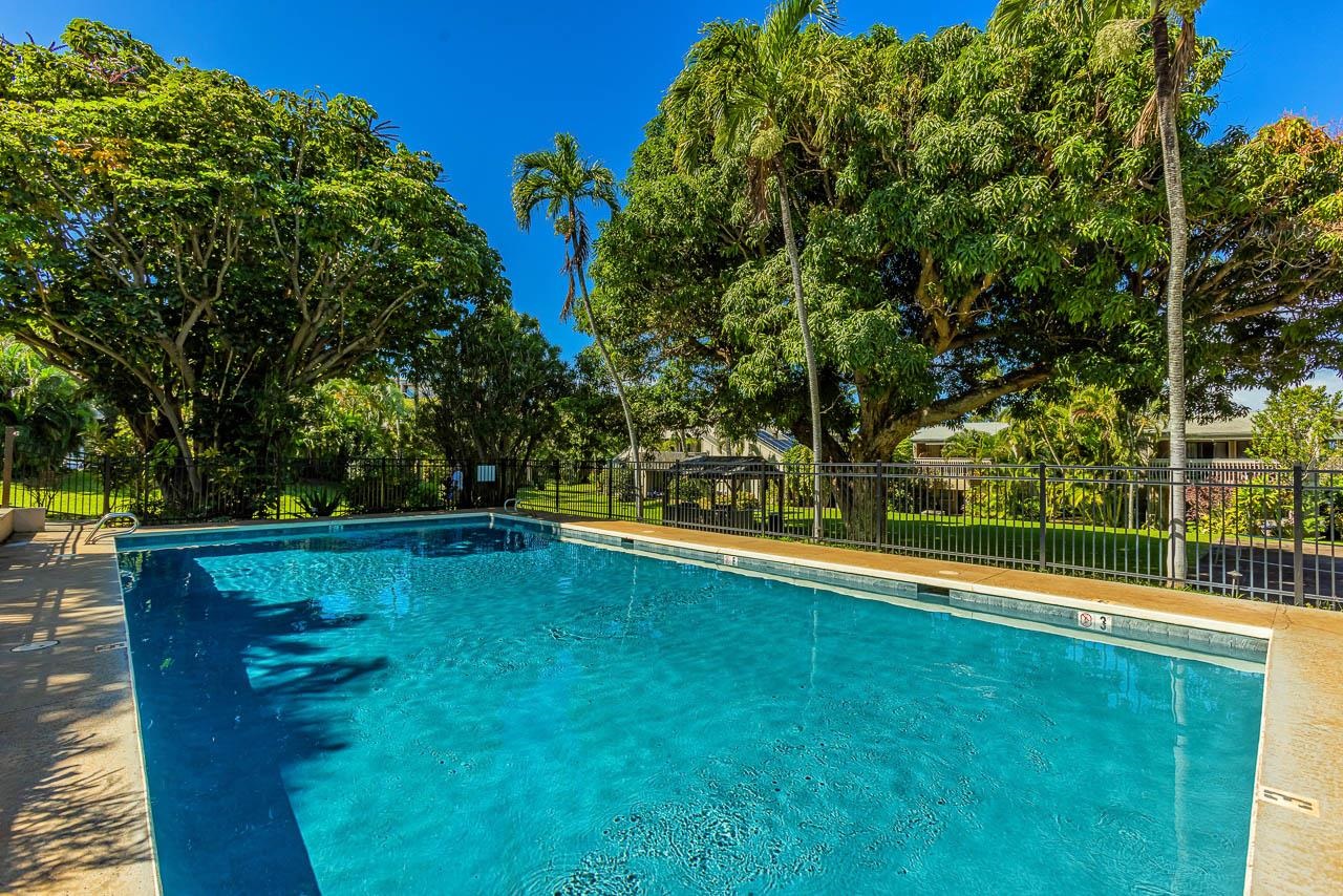 4435 Lower Honoapiilani Road, Unit 301 Lahaina, HI 96761 - Photo 33 of 49 Gallery Image 33