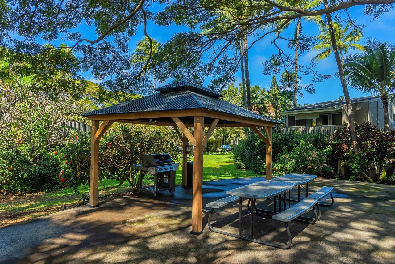 4435 Lower Honoapiilani Road, Unit 301 Lahaina, HI 96761 - Photo 36 of 49 Gallery Image 36