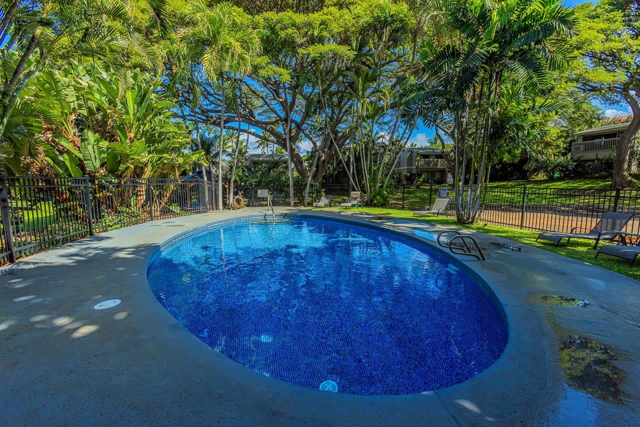 4435 Lower Honoapiilani Road, Unit 301 Lahaina, HI 96761 - Photo 38 of 49 Gallery Image 38