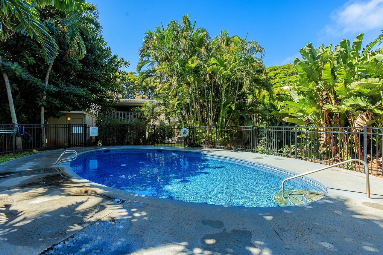 4435 Lower Honoapiilani Road, Unit 301 Lahaina, HI 96761 - Photo 39 of 49 Gallery Image 39