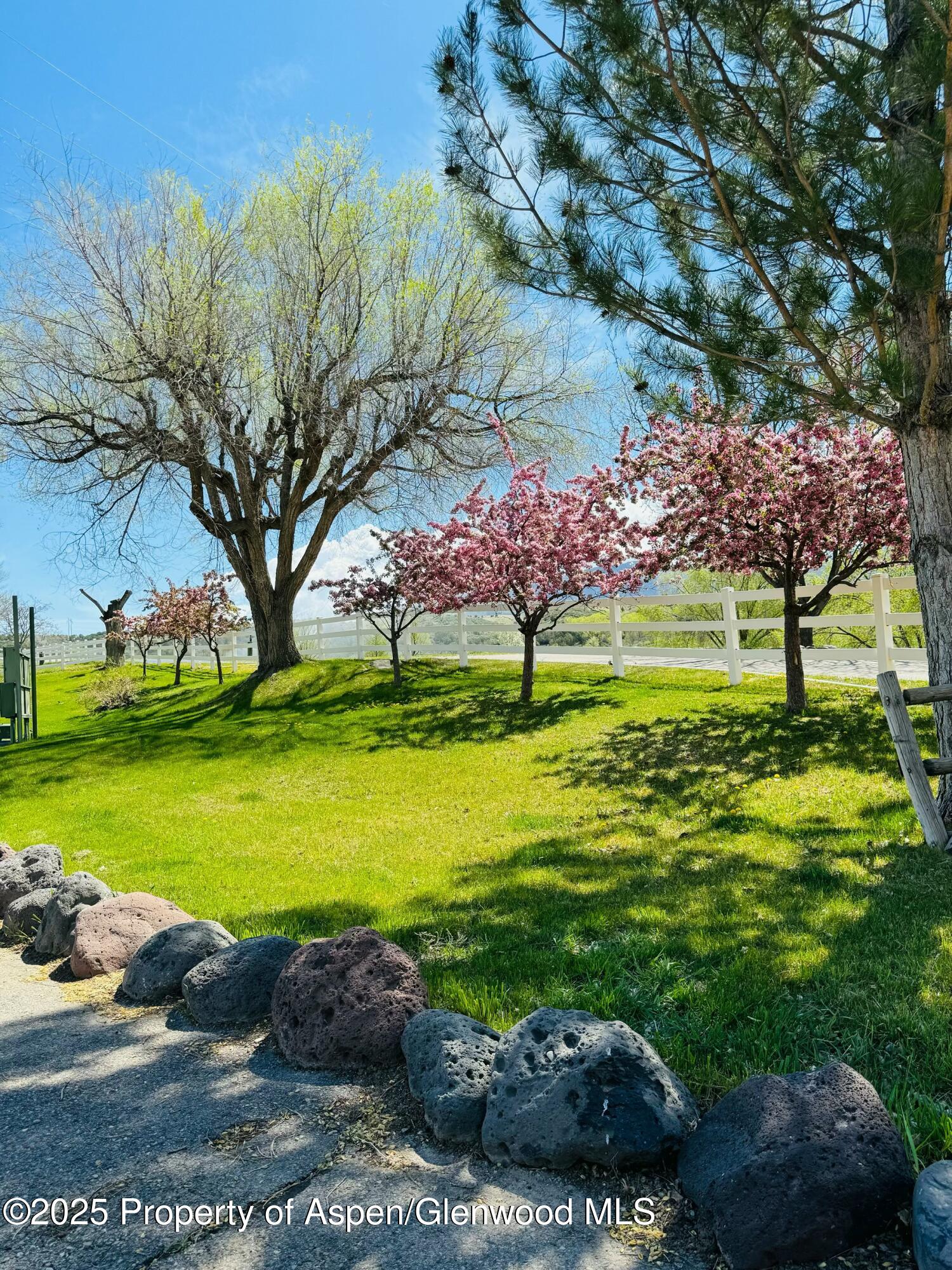 8700 County Road 300 Parachute, CO 81635 - Photo 16 of 201 FullSizeRender (13)