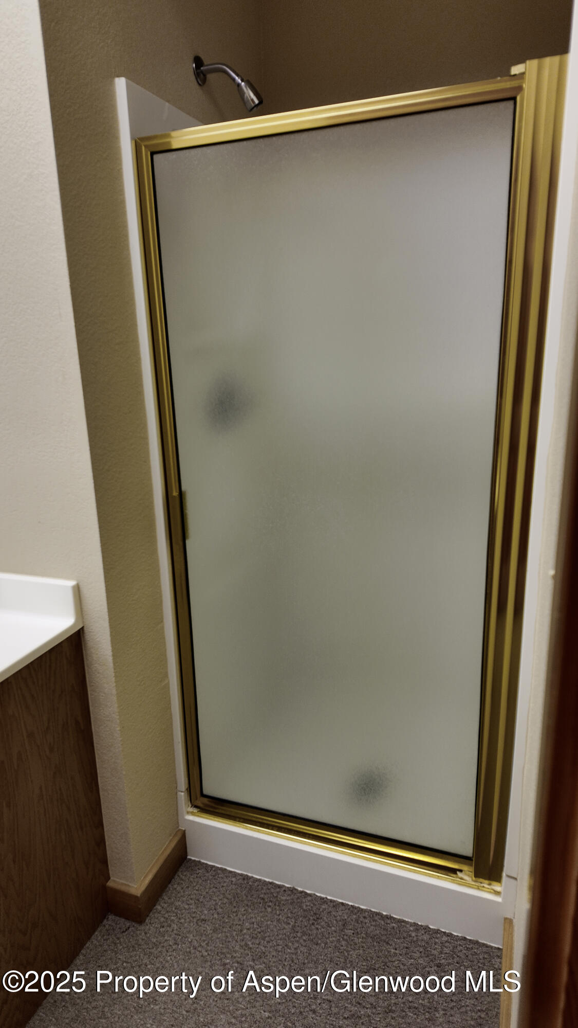 8700 County Road 300 Parachute, CO 81635 - Photo 170 of 201 LYONS OFFICE 024