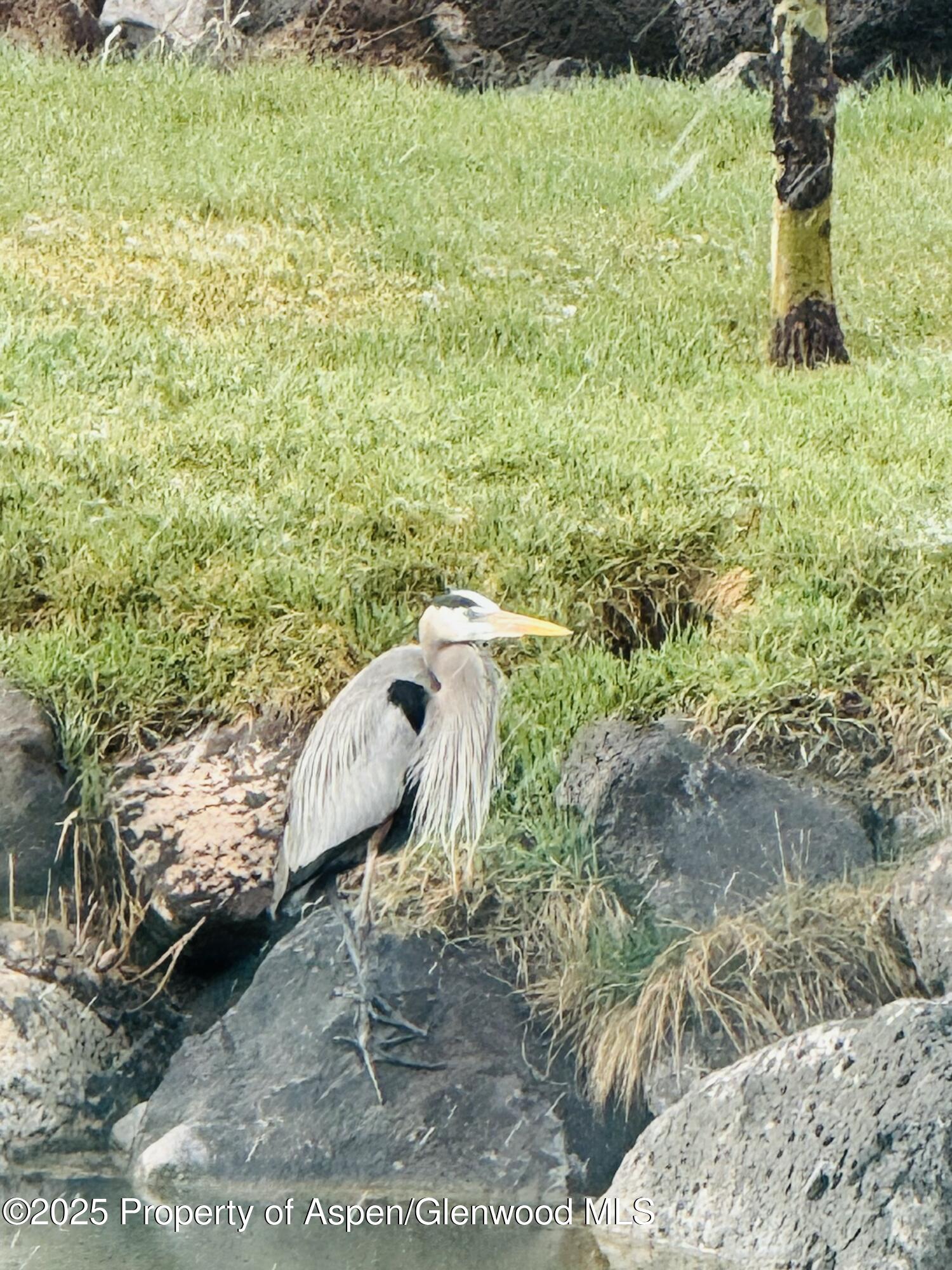 8700 County Road 300 Parachute, CO 81635 - Photo 18 of 201 FullSizeRender (15)