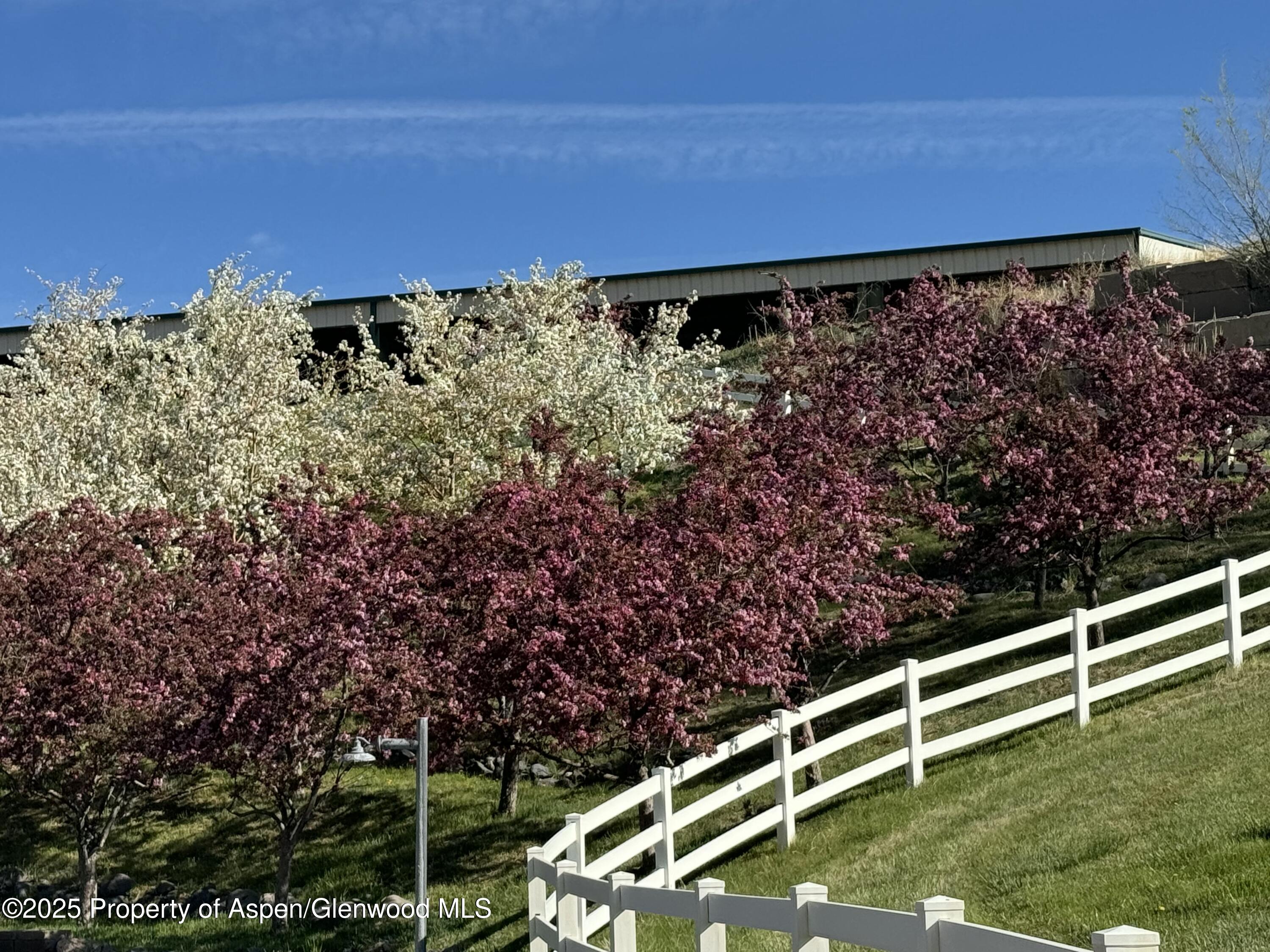 8700 County Road 300 Parachute, CO 81635 - Photo 19 of 201 IMG_4003 (1)