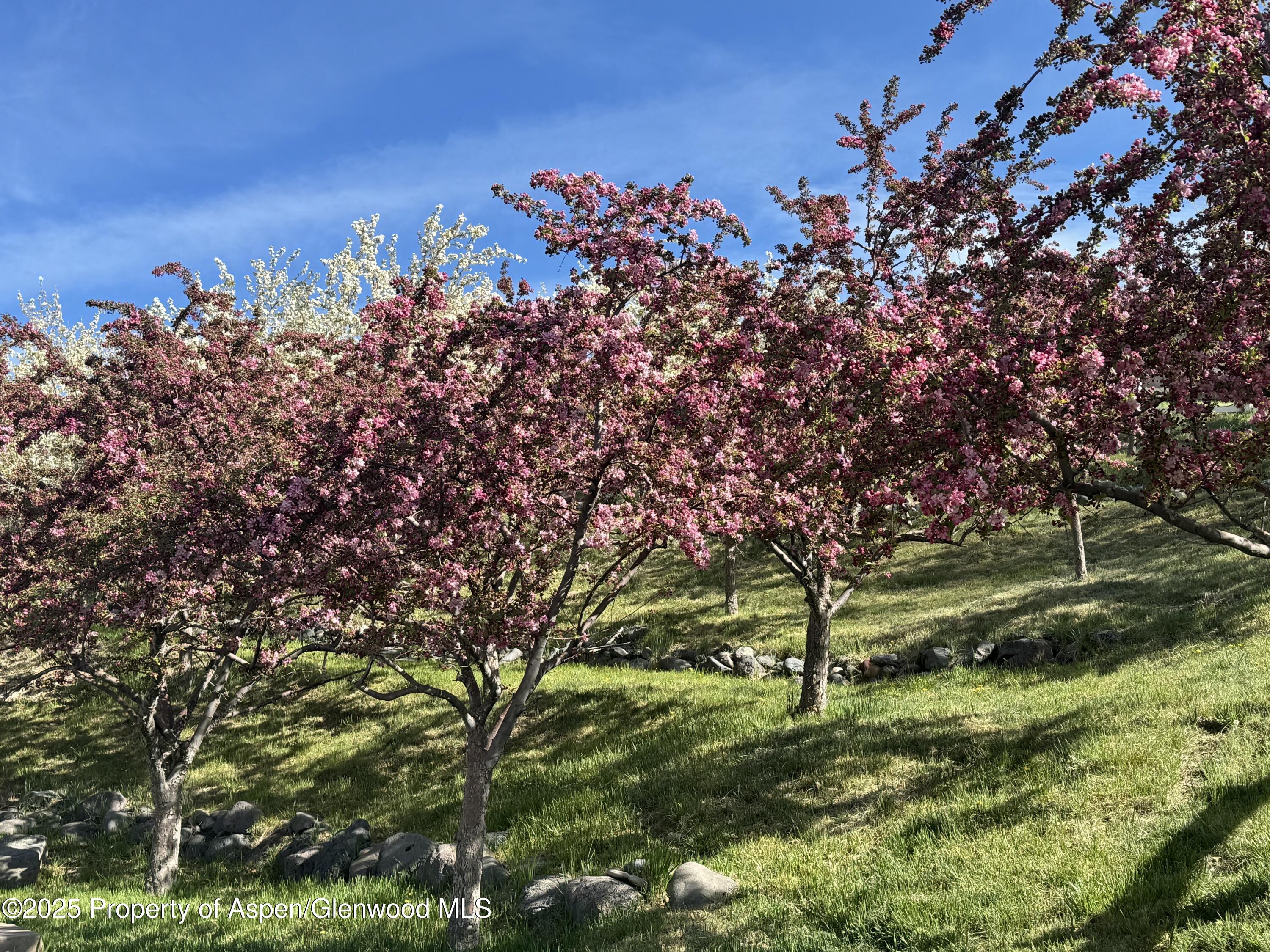 8700 County Road 300 Parachute, CO 81635 - Photo 20 of 201 IMG_4002 (1)