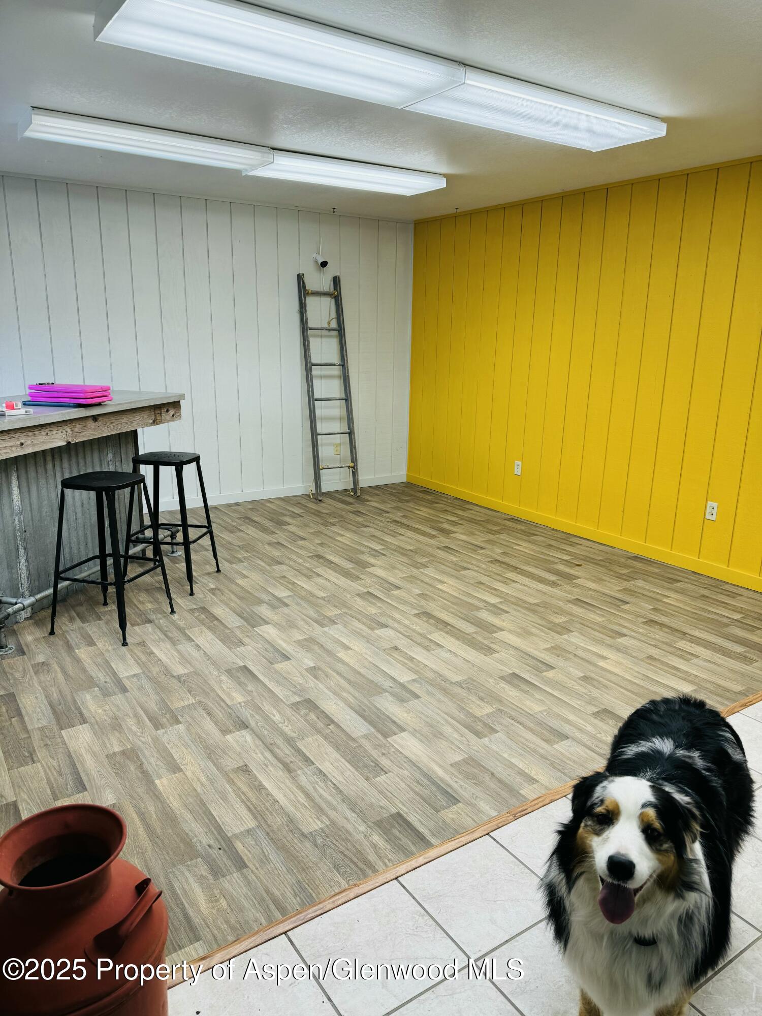 8700 County Road 300 Parachute, CO 81635 - Photo 68 of 201 FullSizeRender (5)(3)