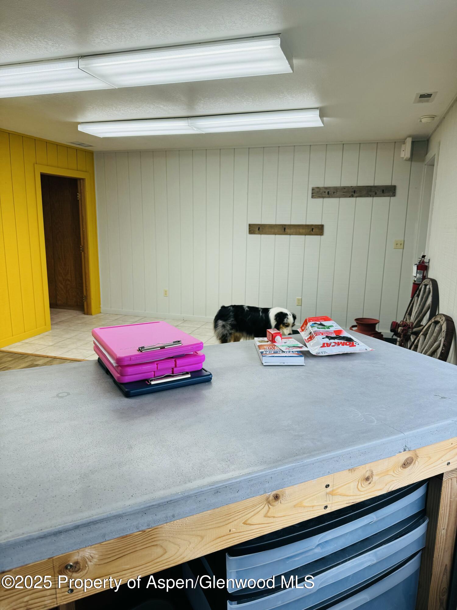 8700 County Road 300 Parachute, CO 81635 - Photo 71 of 201 FullSizeRender (6)(3)