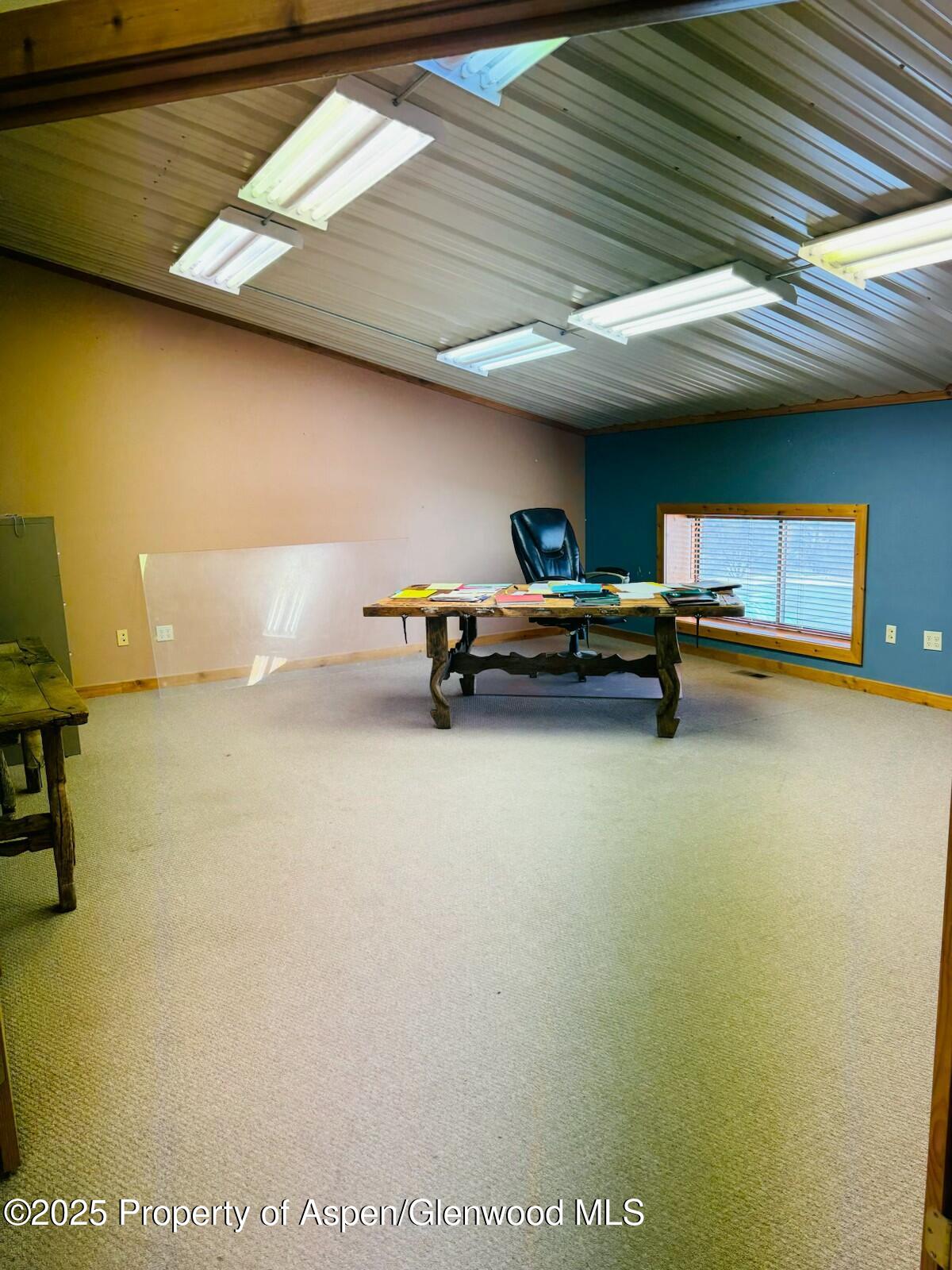 8700 County Road 300 Parachute, CO 81635 - Photo 97 of 201 FullSizeRender (31)(1)