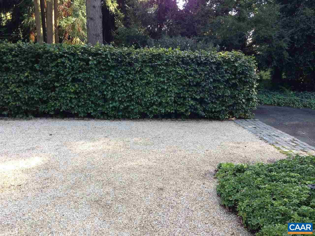 1101 Rugby Road Charlottesville, VA 22903 - Photo 33 of 43 a view of a yard with plants and trees