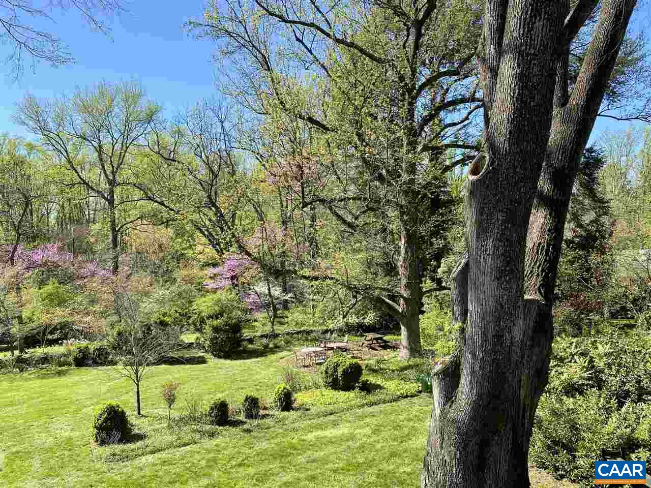 1101 Rugby Road Charlottesville, VA 22903 - Photo 35 of 43 a view of yard with green space