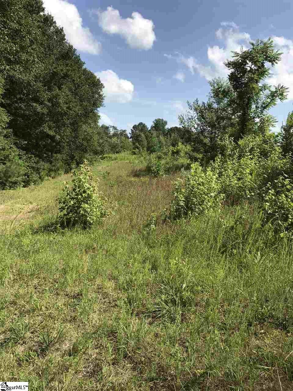 0 Allen Bridge Road Woodruff, SC 29388 - Photo 2 of 11