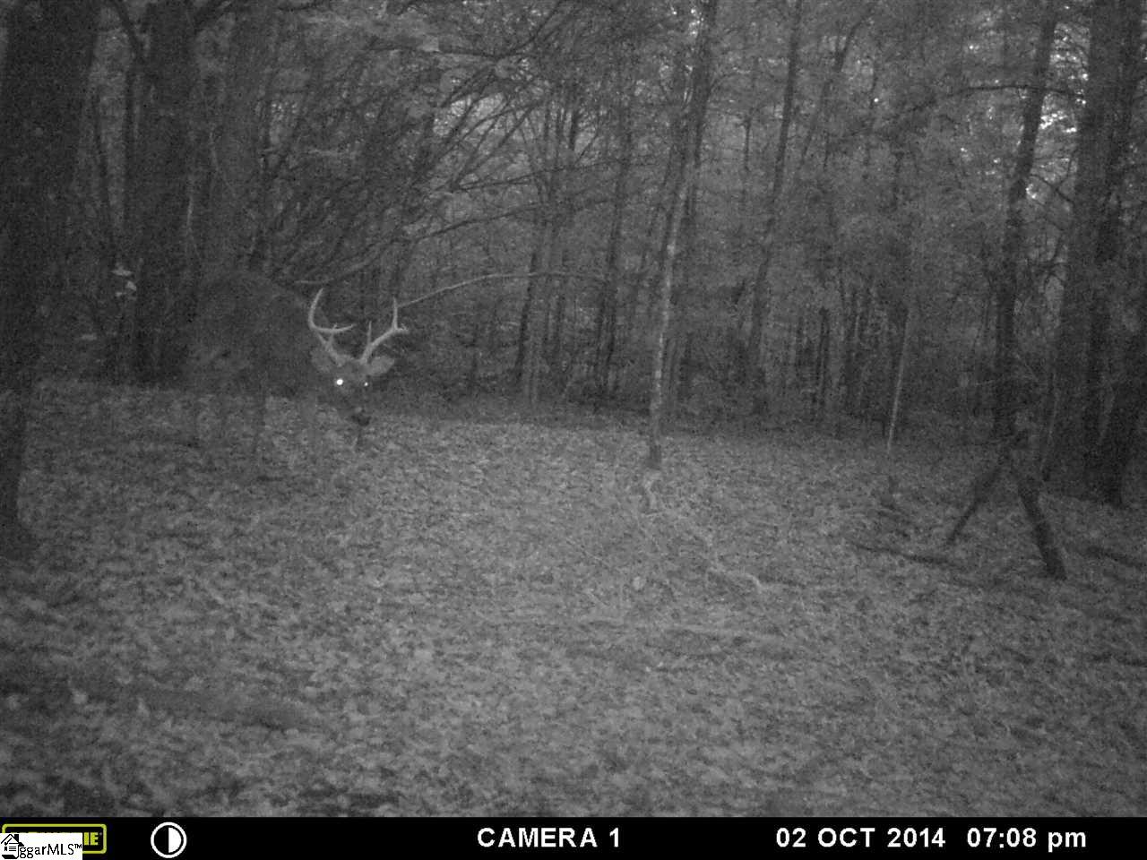 0 Allen Bridge Road Woodruff, SC 29388 - Photo 7 of 11