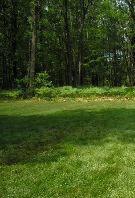 1485 Olson Road Manistee, MI 49660 - Photo 23 of 23 Additional Photo