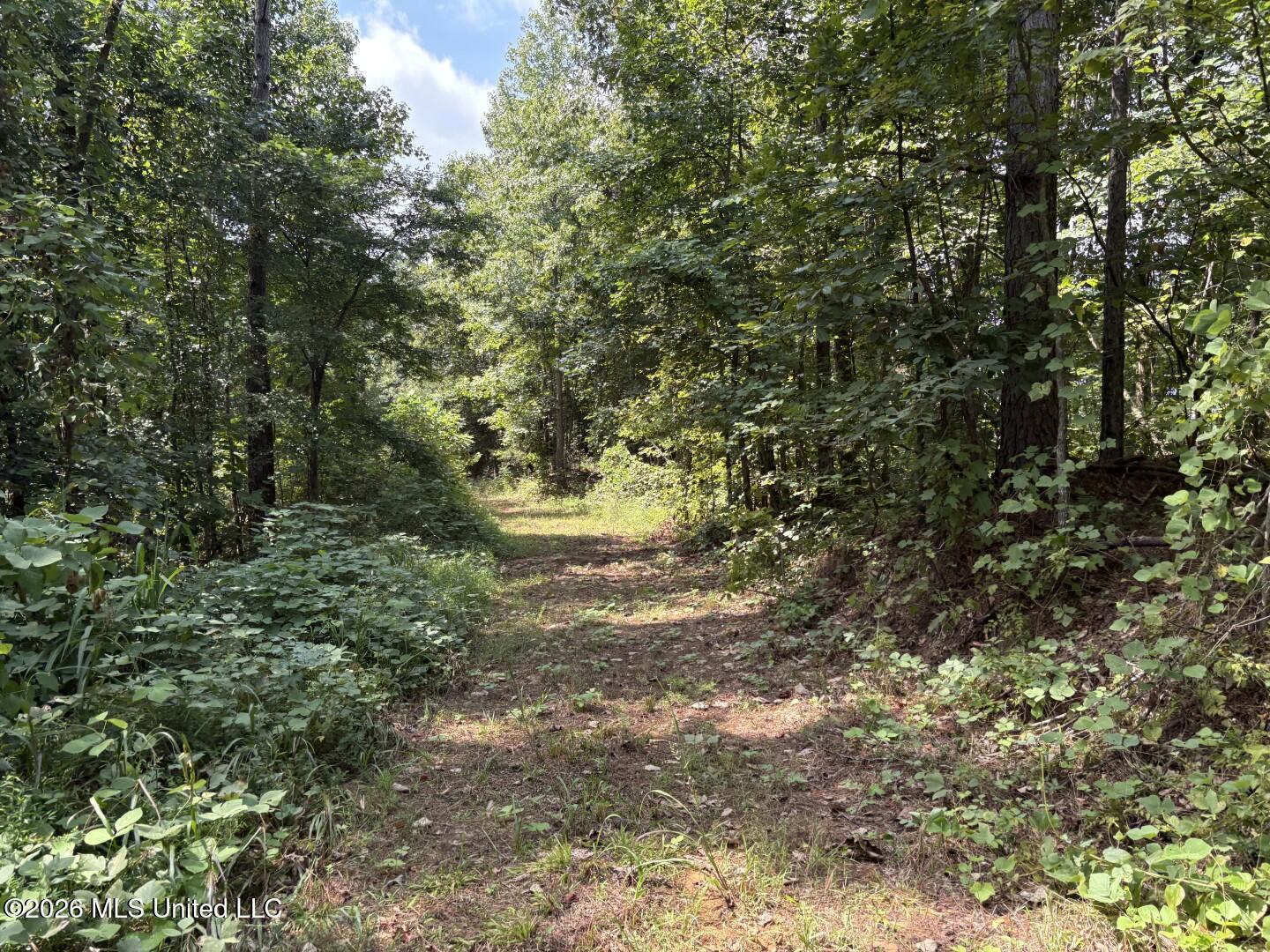 180 County Road New Albany, MS 38652 - Photo 21 of 39 Photo Aug 27 2026, 2 07 58 PM (Large)