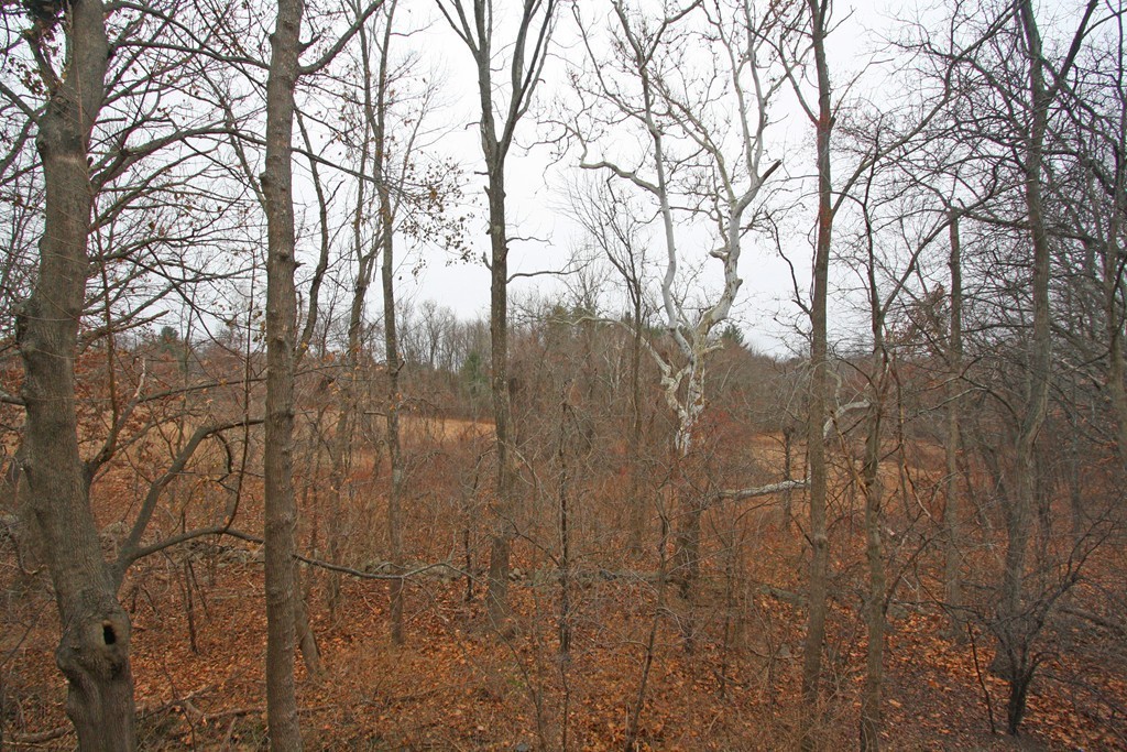 190 Chickering, Unit 210D North Andover, MA 01845 - Photo 13 of 16 a view of a yard