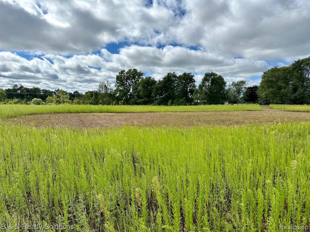 0 Fish Lake Road North Branch, MI 48461 - Photo 19 of 20