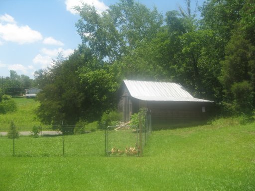 9804 Elkins Road Heiskell, TN 37754 - Photo 6 of 7 Additional Photo